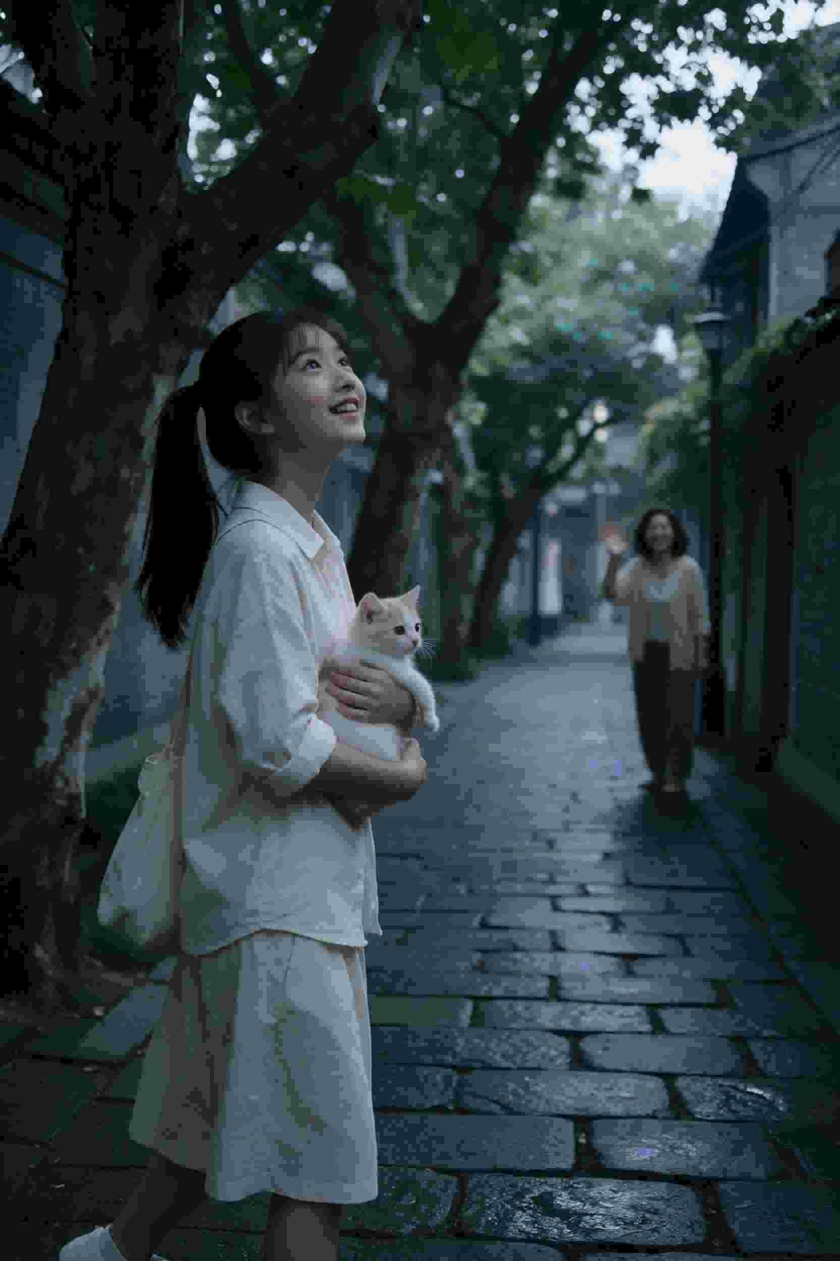 雨后彩虹